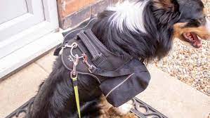 Cut two rectangles of fabric to the desired length and width of the dog backpack and sew the edges shut. How To Make A Diy Dog Backpack Using A Julius K9 Harness The Carpenter S Daughter