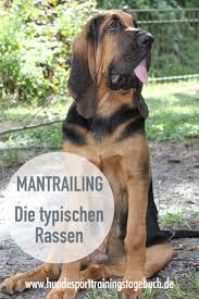 Wedelladchen Hundesport Shop Trainingstagebucher Spieli Hunde Hunderassen Hunde Rassen