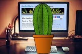Most matter absorbs some spectrum of electromagnetic radiation. Can Cactus Reduce Radiation From Your Computer Or Cell Phone Garden Myths