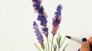 Lavender is one of those flowers that, at first glance, looks complicated to draw. Easy Watercolor Painting Lavender Plant Youtube