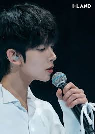 Pin By Emma Lee On Heesuenglee In 2020 My Land Hanbin Landing