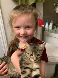 Celebrating Lucy's 7th Birthday with Gordon Setter Owners