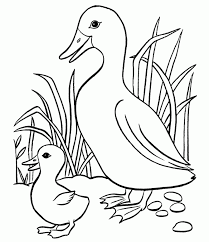 Kali ini obatrindu akan membagikan kepada anda beberapa gambar tentang sketsa hewan yang berada di sekitar kita untuk mempermudah bagi anak anak kita belajar mewarnai. Kumpulan Gambar Hewan Untuk Anak Anak Tk Paud Belajar Mewarnai