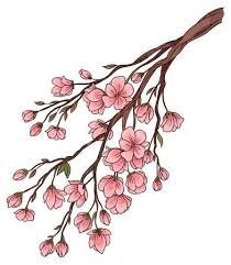Dessin De Main De Vecteur Branche De Fleurs De Cerisier Sakura Avec Delicates Fleurs Roses Sur Fond Blanc Fleur De Cerisier Comment Dessiner Une Fleur Tatouage Fleur De Cerisier