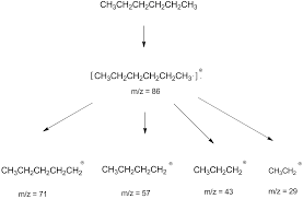 Interpreting Mass Spectra Gc Ms Data Analysis Chemistry Net