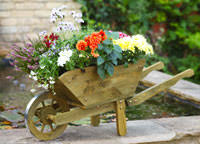 Metal iron wheelbarrow planter flower plant stand garden ornament decoration. Wheelbarrow Planter