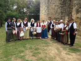 Image result for Loxodera