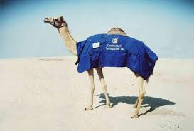 The philadelphia parking authority monitors thousands of metered street parking spaces in the city, as well as neighborhood parking spaces. Therapulse Camel Centurion Systems The Therapy Specialists