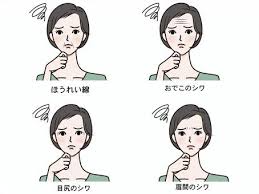 ほうれい線イラスト／無料イラストなら「イラストAC」