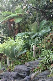 Tropischer Garten Dies Ist Mein Traumblick Auch An Einem Nebligen Tinicum Morgen So Tun Als Einem Garten Mo Tropischer Garten Tropische Garten Garten