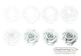 How To Draw A Rose Step By Step Tutorial Easydrawingtips Rose Step By Step Roses Drawing Rose Drawing Simple