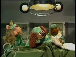 brief doctor who reference on the muppets just for you tara cuz i know you love the muppets the muppet show muppets doctor who