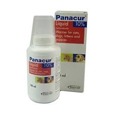If there is reluctance to accept the dose, mix in a small quantity of dog. Panacur Oral Suspension For Pets Panacur 100ml Liquid For Dogs Cats