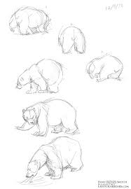Pin By Darika Dujshobaeva On Etno In 2020 Animal Sketches Polar Bear Art Pencil Drawings Of Animals
