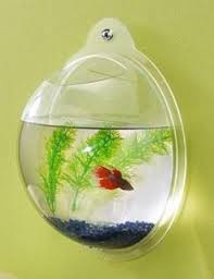 The Wall Fish Bowl Adds Life To Any Room Bubble Wall Fish Bowl Teenage Girl Room