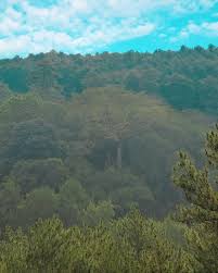 Pdf | kesepuluh tips fasilitasi pembangunan hutan desa di kabupaten bantaeng ini mesti dilihat melalui hutan desa. Gunung Ciremai Opslag Facebook