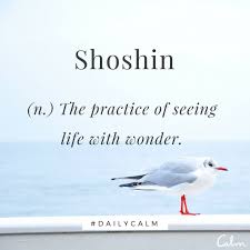 Shoshin The Beginner S Mind There Is A Concept In Zen Buddhism Known As Shoshin Which Means Beginner S Mind Shoshin Weird Words Unusual Words Cool Words