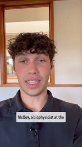 Bright Bytes: Biomimetics