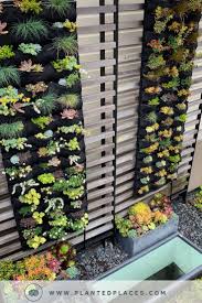 Custom Living Wall Rooftop Garden In 2020 Succulent Wall Garden Green Wall Garden Vertical Garden Design