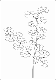 Cherry Blossom Coloring Page Best Of Japanese Traditions And Coloring Home Cherry blossom coloring page by ellie marks. coloring home