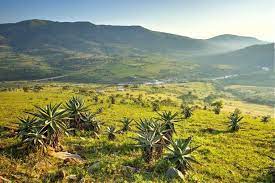 The swazi king rules by decree and. Swaziland Landscape R Agrotis Travel Ltd