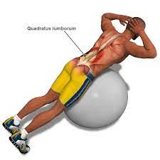 10 workouts for a stronger back and abs >>>. Image Detail For Lower Back Exercises Explained Through 3d Animations P4p Exercise Lat Workout Back Exercises