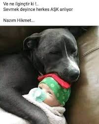 Ayse Sun Adli Kullanicinin Sairler Panosundaki Pin Anlamli Alintilar Guzel Soz Alintilar