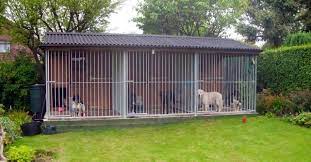 Pet boarding & kennels pet sitting & exercising services kennels. Local Dog Kennels Near Me Petcloud Petcloud Dog Kennel Dog Kennel Designs Pet Kennels