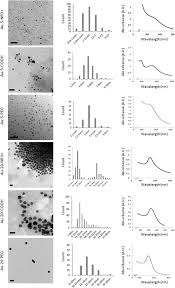 Learn how to activate the heroic version of every public event in destiny 2. Cationic Gold Nanoparticles Elicit Mitochondrial Dysfunction A Multi Omics Study Scientific Reports