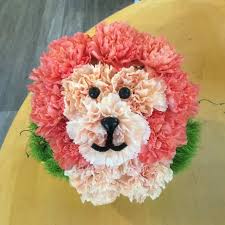 Up to 35% off at northwest vision development center. Mufasa The Flowerly Lion Plumeria Botanical Boutique