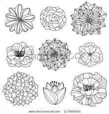 Pin By Ake W On Tattoos Flower Drawing Flower Silhouette Hand Drawn Flowers