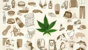 Kita tidak boleh asingkan kesan buruk ganja sekalipun jika sekadar ingin menyatakan kebaikkannya. Ganja Kertas Dan Ketakutan Ketakutan Kita