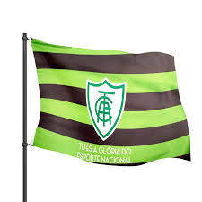 Founded in 1920s, mg car was a british sports car manufacturer, mg are the initials for morris the borgward logo unveiled in 2015 international motor show, its diamond shape consists of four. Bandeira Do America Mineiro Jc Bandeiras