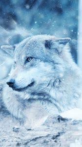 A collection of the top 41 iphone 12 pro max wallpapers and backgrounds available for download for free. Wolf Iphone 8 7 6s 6 For Parallax Wallpapers Hd Desktop Backgrounds 938x1668 Images And Pictures