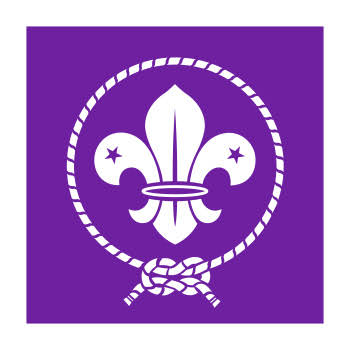 251 Chaparral Scouts