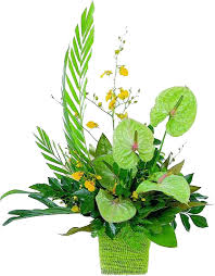 Learn how to make a diy st. Download Tropical Flowers Bb Exotic Gardens St Patrick Day Floral Arrangements Full Size Png Image Pngkit
