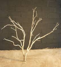 Arbre Mort Ref 228 Arbre Mort Arbre Mort
