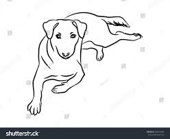 Dog Lying Down Drawing Easy Dunia Belajar 624x647 easy to draw bedroom easy bed drawing easy to. dog lying down drawing easy dunia belajar