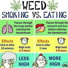 Is weed better than alcohol. Smoking Vs Eating What S Your Opinions Weed