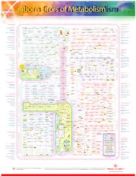 Credible Metabolic Chart 2019