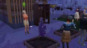 Drugs, to organized crime and gangs (if you have the sims 4: Til If You Have The Basemental Drugs Mod People Will Autonomously Plant Weed In The Community Garden Thesims