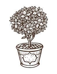 pin on coloriage fleurs et plantes flowers and plant colouring pages coloriages gratuits pour halloween