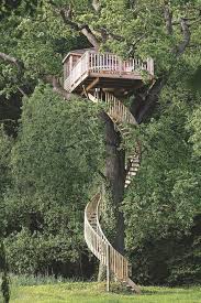 Cabane A Louer Dans Les Arbres Bord De Mer Maison Dans Les Arbres Cabane Jardin Et Cabane