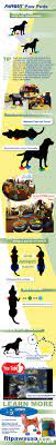 Hdp 18 ft dog agility training open. Fitpaws Canine Fitness And Rehabilitation For Dogs Agility Training For Dogs Dog Exercise Dog Training Equipment