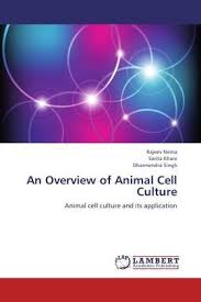 We did not find results for: An Overview Of Animal Cell Culture Nema Rajeev Khare Sarita Singh Dharmendra In Altmuehlfranken De