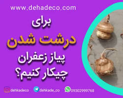 Image of کود تقویتی زعفران