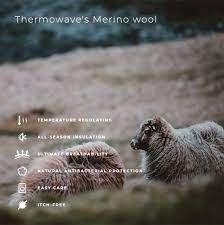 80% Merino Wool Thermowave XTREME DUAL Man Longsleeve Shirt Base Layer (XTRM1) | eBay