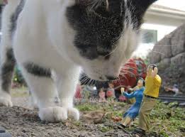 Www Gscaletrain Blogspot Ca G Scale Train Derailment Cat Cat Training Cats Ho Trains