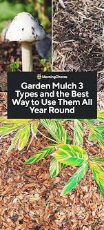 Garden Mulch 3 Types And The Best Way To Use Them All Year Round Garden Mulch Mulch For Vegetable Garden Best Mulch For Garden