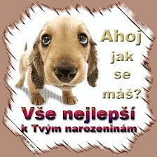 Geburtstagswünsche polnisch / glückwünsche zum geburtstag tschechisch, geburtstagswünsche formulierungen und vorlagen. Pin By Monika 12 On Bilder Wunsche Alg Deutsch Tschechisch Humor Baby Animals Animals